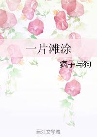 一片滩涂 一片滩涂