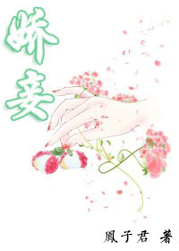 娇妾 娇妾