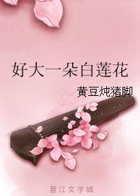 好大一朵白莲花 好大一朵白莲花