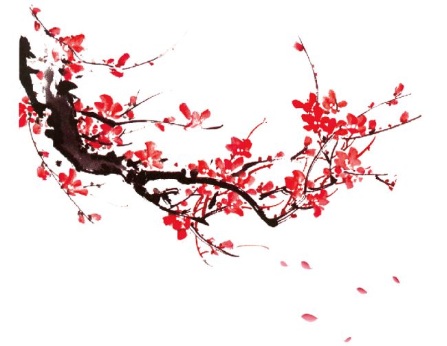 试问花知否 试问花知否