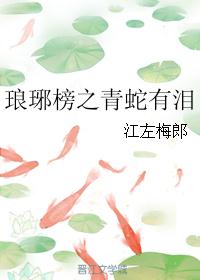 琅琊榜之青蛇有泪 琅琊榜之青蛇有泪