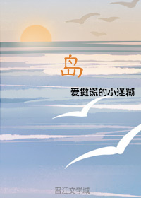 岛 岛