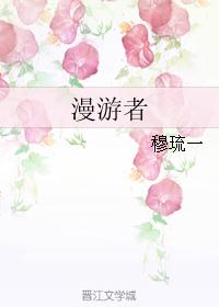 漫游者 漫游者