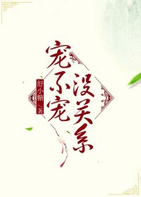 宠不宠,没关系 宠不宠,没关系