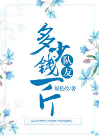 队友多少钱一斤? 队友多少钱一斤?