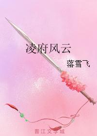 凌府风云 凌府风云
