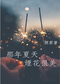 那年夏天 烟花很美 那年夏天 烟花很美