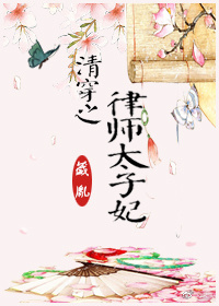 清穿之律师太子妃 清穿之律师太子妃