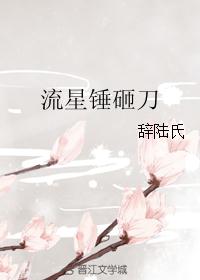 流星锤砸刀 流星锤砸刀