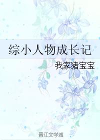 综小人物成长记 综小人物成长记