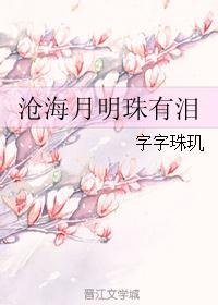 沧海月明珠有泪 沧海月明珠有泪