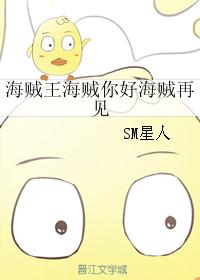 海贼王海贼你好海贼再见 海贼王海贼你好海贼再见