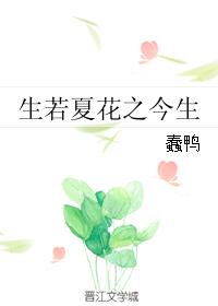 生若夏花之今生 生若夏花之今生