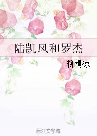 陆凯风和罗杰 陆凯风和罗杰