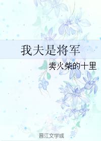我夫是将军 我夫是将军