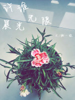 许谁晨光无限 许谁晨光无限