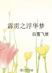 霹雳之浮华梦 霹雳之浮华梦