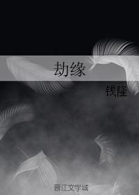 劫缘 劫缘