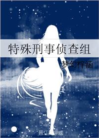 特殊刑事侦查组 特殊刑事侦查组