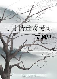 寸寸情丝寄芳琼 寸寸情丝寄芳琼