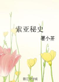 索亚秘史 索亚秘史