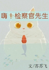嗨!检察官先生 嗨!检察官先生