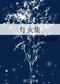 灯火集