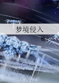 梦境侵入 梦境侵入