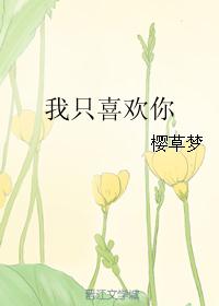 我只喜欢你 我只喜欢你