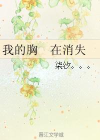 我的胸 在消失 我的胸 在消失