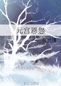元宫恩怨 元宫恩怨