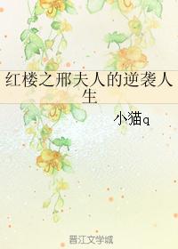 红楼之邢夫人的逆袭人生 红楼之邢夫人的逆袭人生