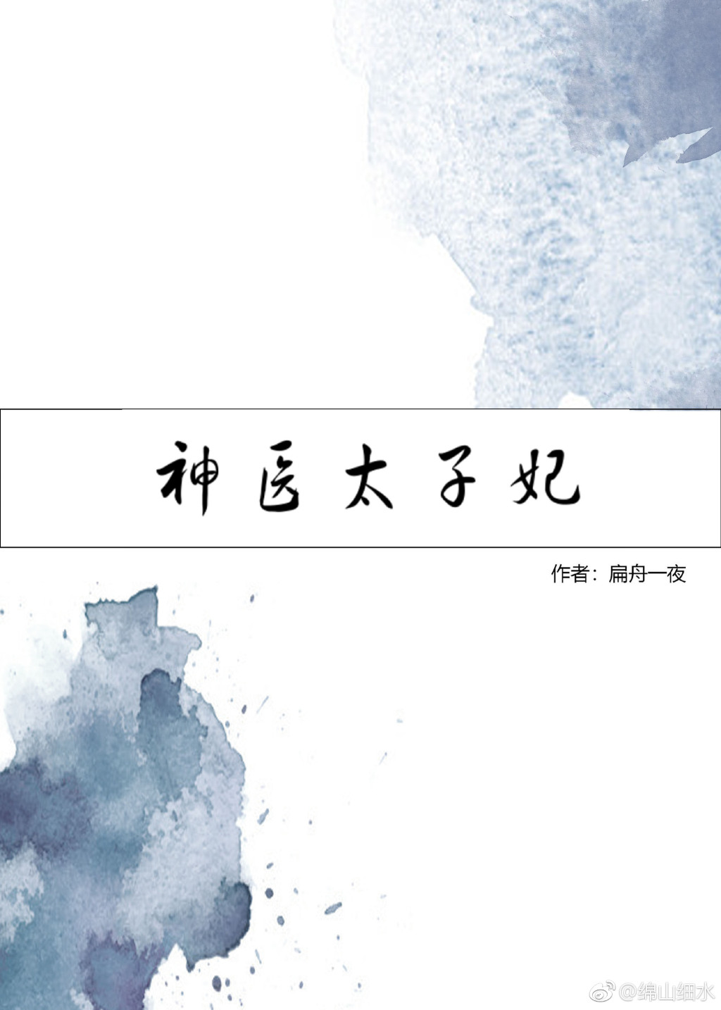 神医太子妃 神医太子妃