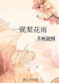 一砚梨花雨 一砚梨花雨