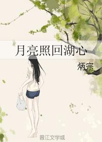 月亮照回湖心 月亮照回湖心