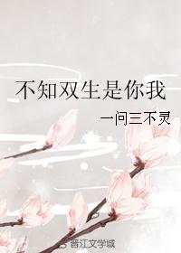 不知双生是你我 不知双生是你我