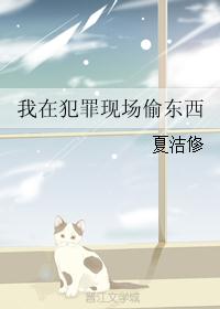 我在犯罪现场偷东西 我在犯罪现场偷东西