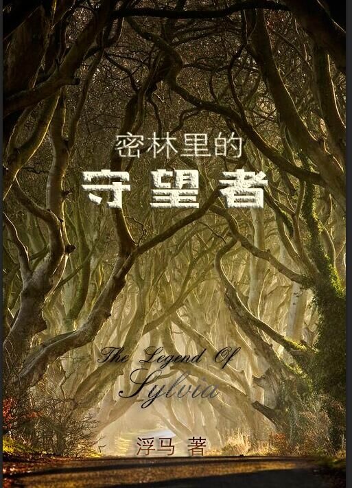 密林里的守望者 密林里的守望者