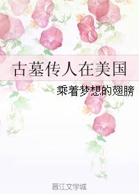 古墓传人在美国 古墓传人在美国