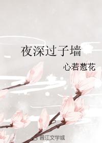 夜深过子墙 夜深过子墙
