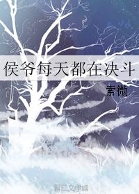 侯爷每天都在决斗 侯爷每天都在决斗