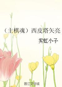 (主棋魂)西皮塔矢亮 (主棋魂)西皮塔矢亮