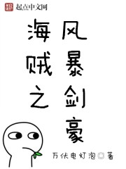 海贼之风暴剑豪 海贼之风暴剑豪