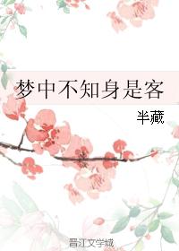 梦中不知身是客 梦中不知身是客
