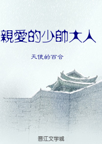 亲爱的少帅大人 亲爱的少帅大人