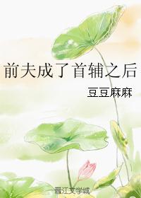 前夫成了首辅之后 前夫成了首辅之后