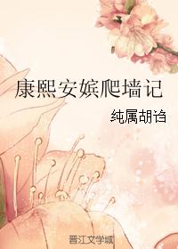 康熙安嫔爬墙记 康熙安嫔爬墙记