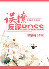 误撩反派Boss 误撩反派Boss