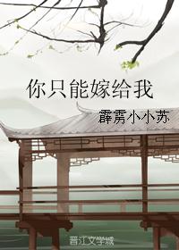 你只能嫁给我 你只能嫁给我