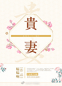 贵妻 贵妻